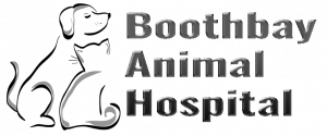 Boothbay Animal Hospital Logo 5 300x125
