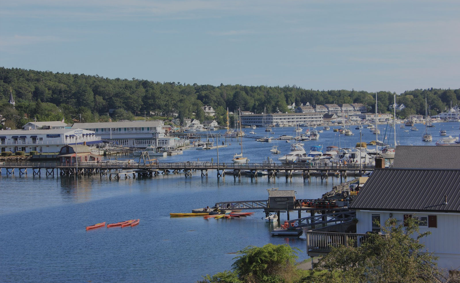 Blue Heron Boothbay Harbor Maine
