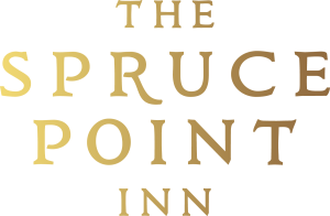 19100 SprucePointInn PrimaryLogo Gradient 300x196